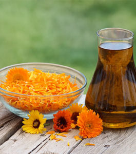 Calendula Oil