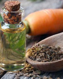 Carrot Seed Oil