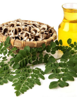 Moringa Oil