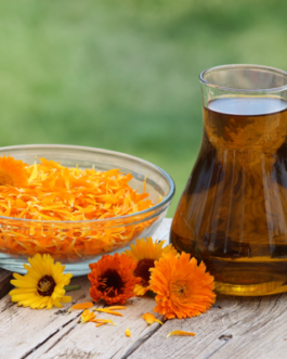 Calendula Oil