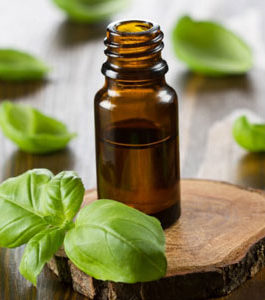 Basil Linalool Oil