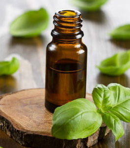 Basil Linalool Oil