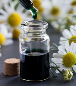 Chamomile oil blue