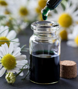 Chamomile oil blue