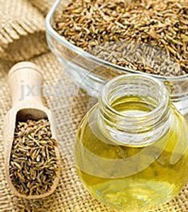 Fennel Oil