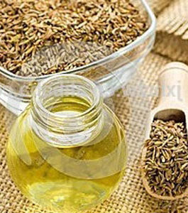 Fennel Oil