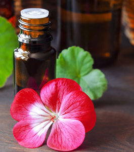 Geranium Oil