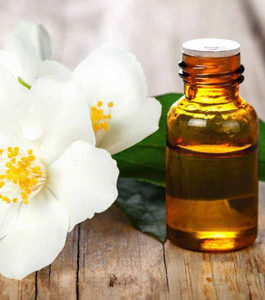 Jasmine Absolute Oil