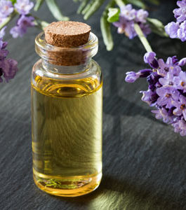 Lavender Oil