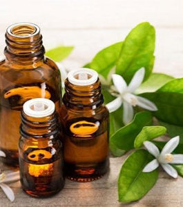 Neroli Essential Oil