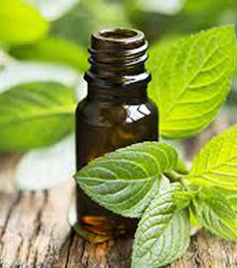 Peppermint Essential Oil