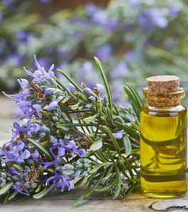 Rosemary Essential Oil
