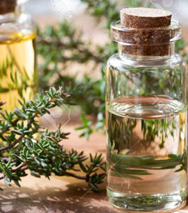 Thyme Essential Oil