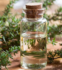 Thyme Essential Oil