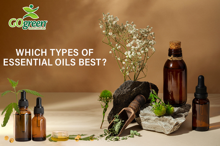 Read more about the article Which Types of Essential oils are Best? Essential Oils Benefits For The Body