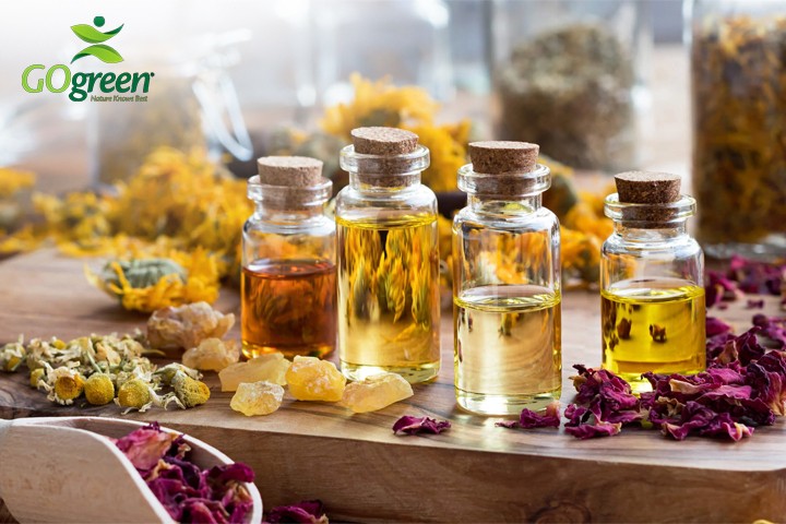 Read more about the article Which Types of Carrier Oils Are Best? Carrier Oils Benefits for Body